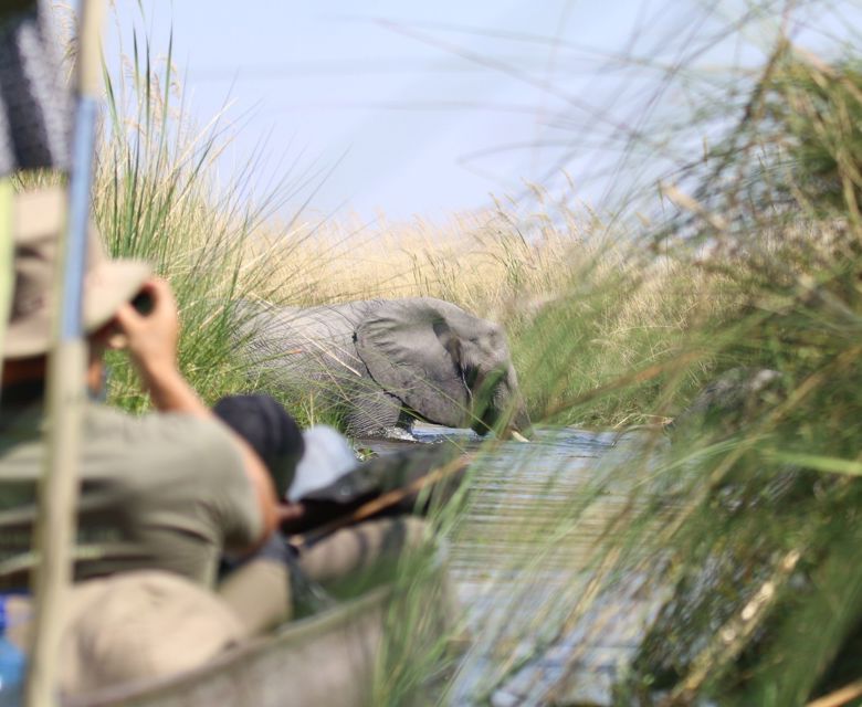 Sunway Botswana Okavango. Headshot Jez Hollinshead