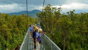 OS Experience Tasmanian Wilderness Explorer Tahune Forest 10_CR Journey Beyond