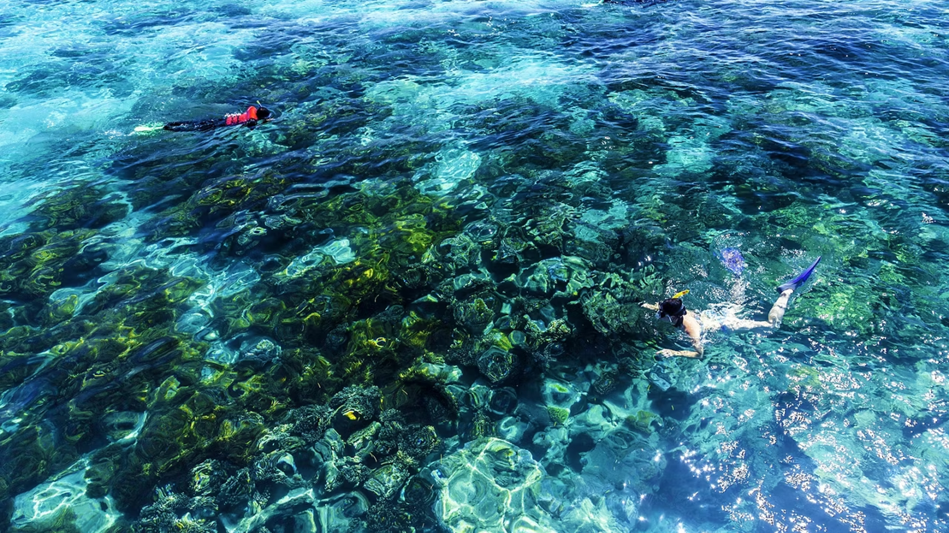 Cairns, Australia, Snorkeling The Great Barrier Reef