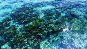 Cairns, Australia, Snorkeling The Great Barrier Reef