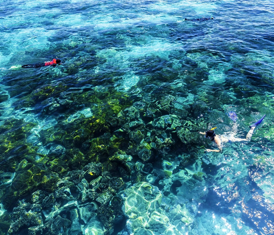Cairns, Australia, Snorkeling The Great Barrier Reef
