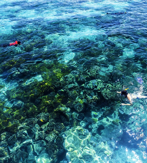 Cairns, Australia, Snorkeling The Great Barrier Reef
