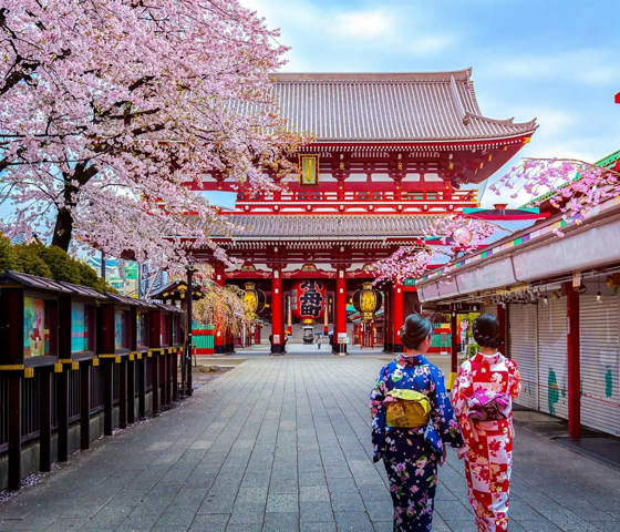 Tokyo, Japan, Geishas At Sensoji Temple