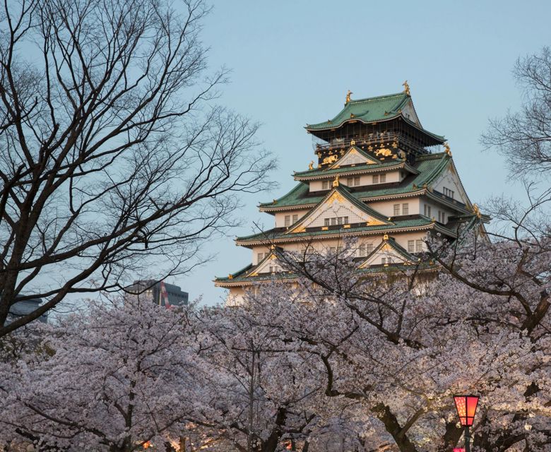 Osaka Temple And Cherry Blossoms In Osaka, Japan