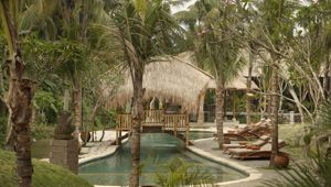 Alaya Resort Ubud - Pool View