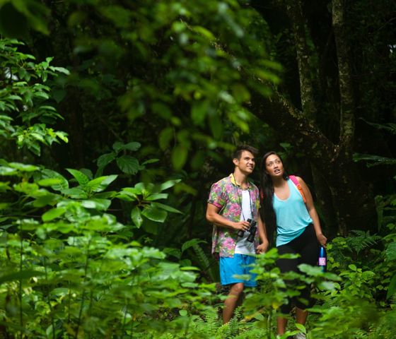 Couple walking in the bush