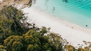 Murrays Beach, Jervis Bay 194554 © Destination NSW