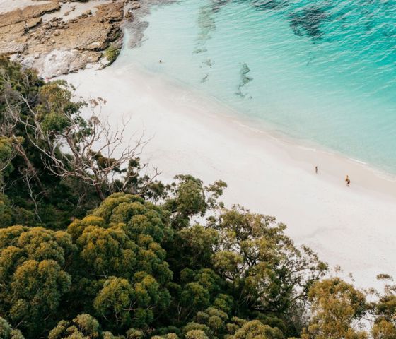 Murrays Beach, Jervis Bay 194554 © Destination NSW