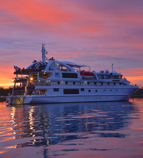 Coral Discoverer Sunset Coral Expeditions