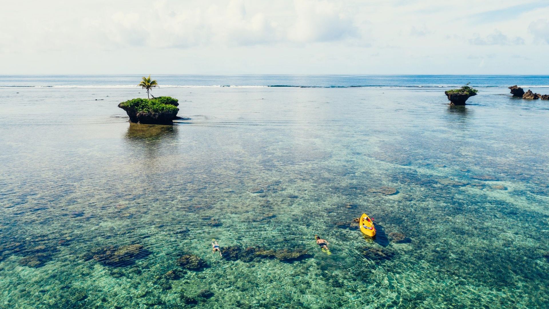Koro Sun Snorkelling