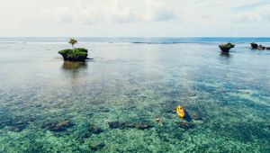 Koro Sun Snorkelling