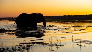 Sunway Botswana Chobe Credit Bruce Taylor