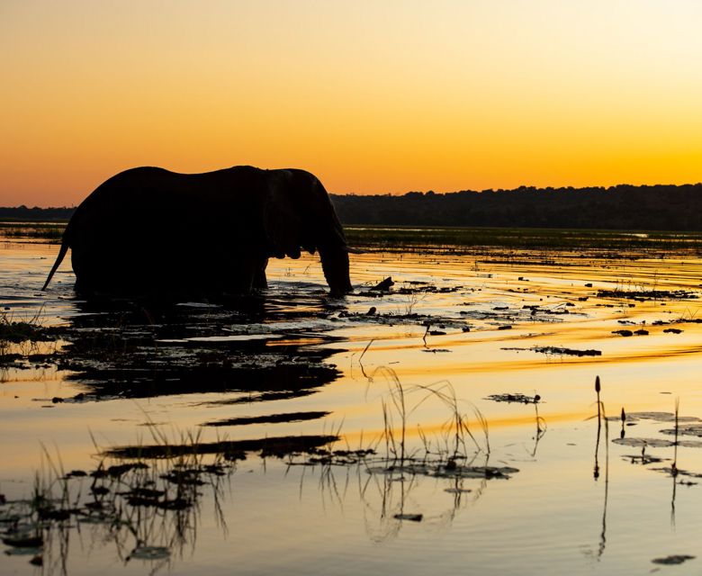 Sunway Botswana Chobe Credit Bruce Taylor