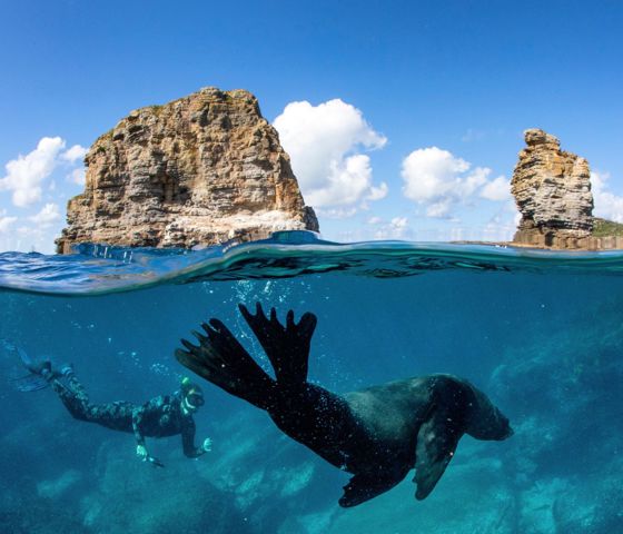 Dive Jervis Bay, Jervis Bay 169933 © Destination NSW