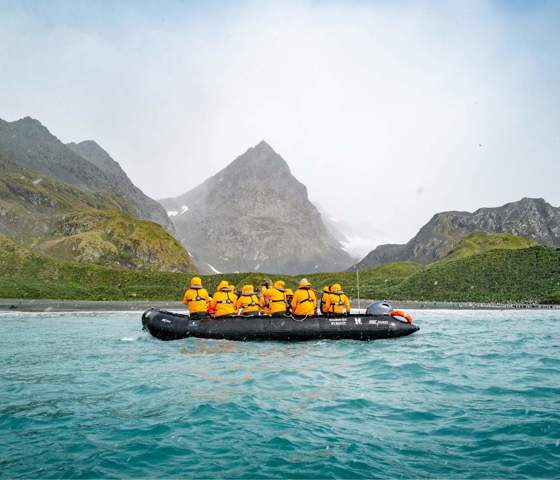 South Georgia Cooper Bay Zodiac Cruise