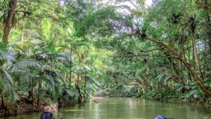 Back Country Bliss - River Drift Experience Tour - image 1