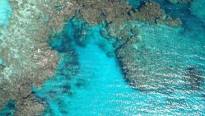 Yasawa Island Resort Snorkelling