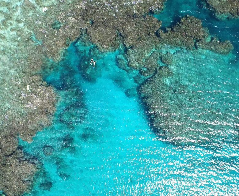 Yasawa Island Resort Snorkelling