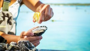 Oyster Farm Tours Eyre Peninsula 1069833 CR Tourism Australia And SATC