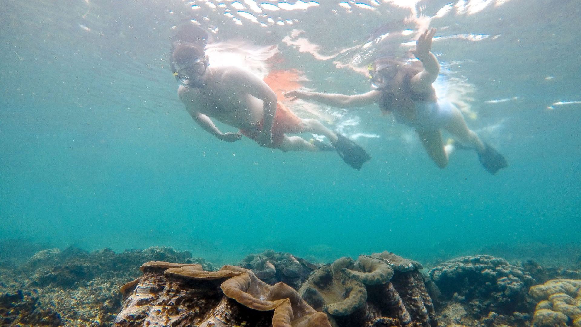 Snorkelling in Samoa - Image credit: Samoa Tourism