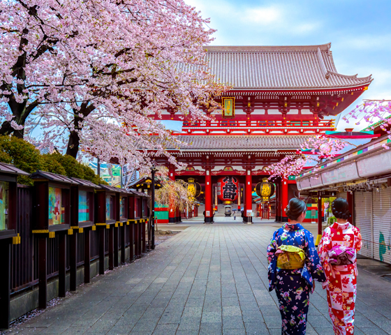 Majestic Temple and cherry blossoms - Seabourn Cruise Line