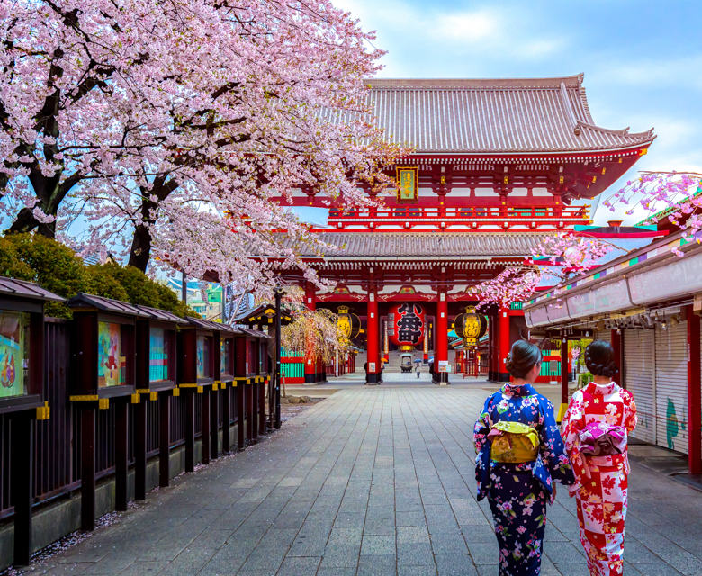 Japan cruises