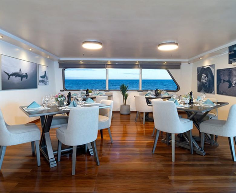 Galapagos Cruise with Wendy Petrie and Viva Expeditions
