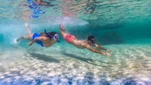  Southwest Edge Greens Pool William Bay