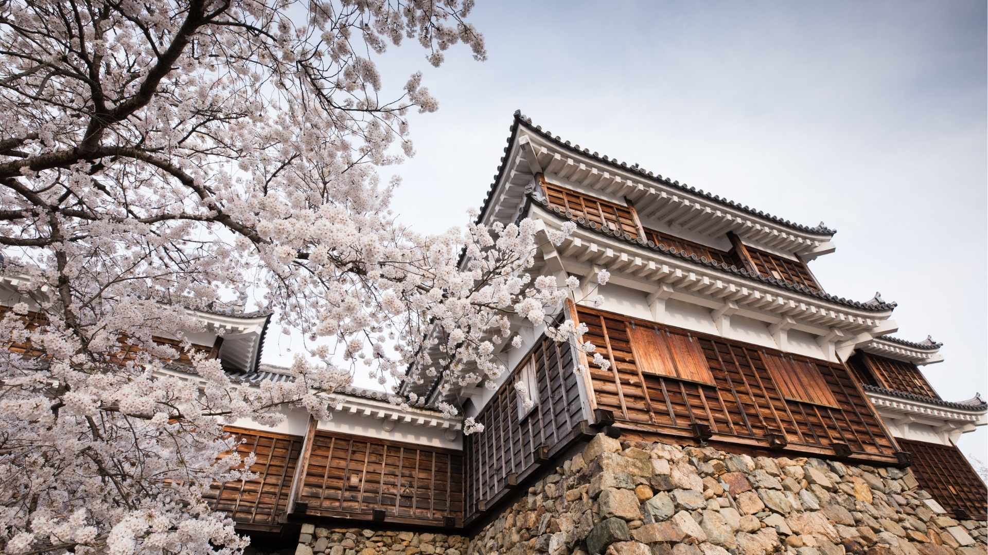 Maizuru Fukuchiyama Castle