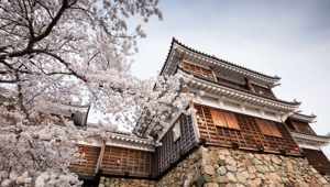 Maizuru Fukuchiyama Castle