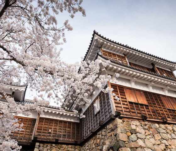 Maizuru Fukuchiyama Castle