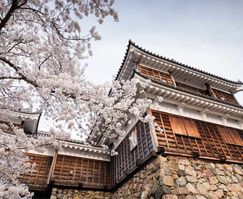 Maizuru Fukuchiyama Castle