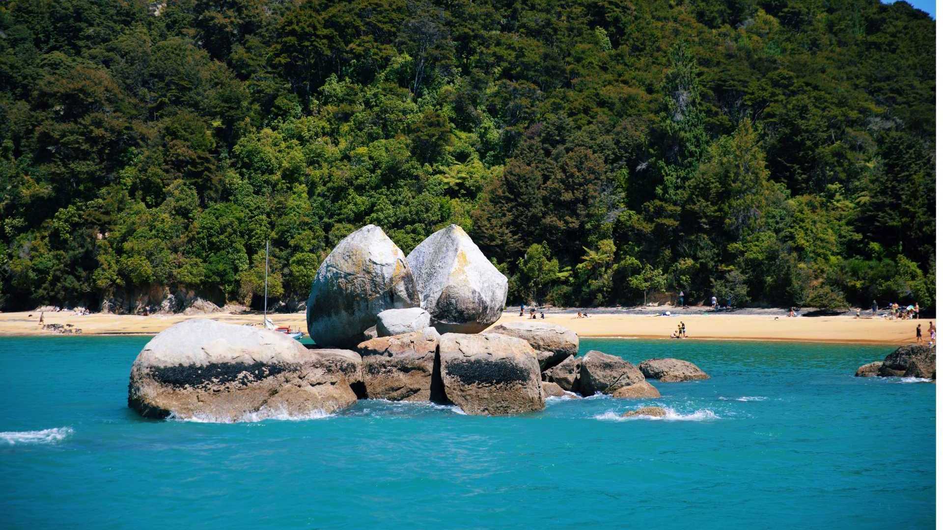 Nelson Abel Tasman Waka