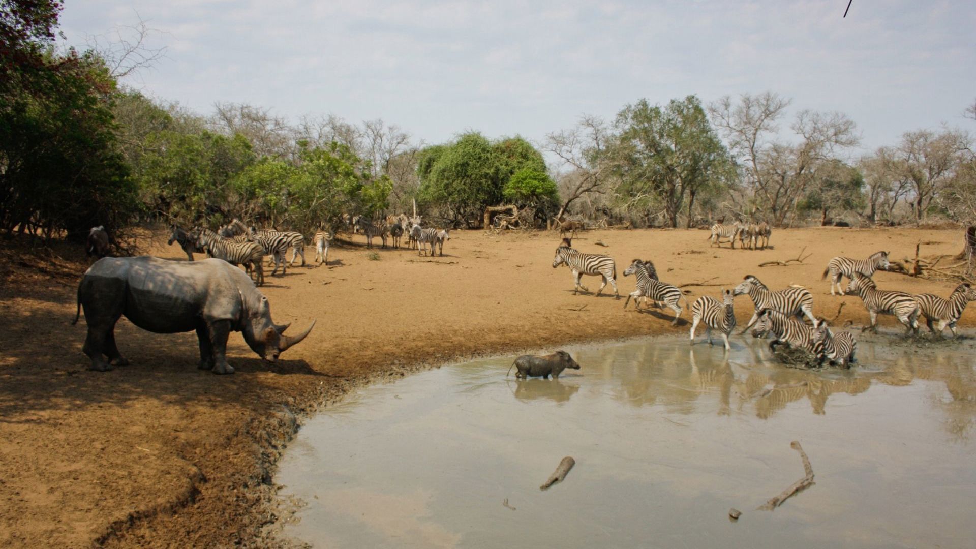 Sunway South Africa Mkhuze GR. 