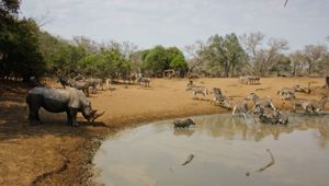 Sunway South Africa Mkhuze GR. 