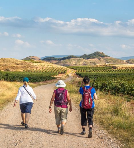 Walking The Camino de Santiago