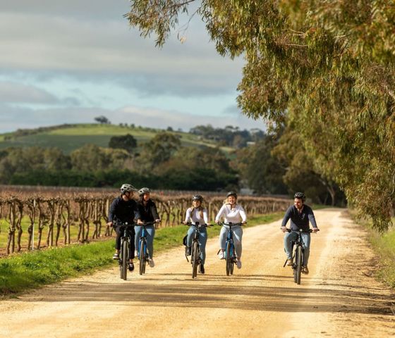 Bikeabout Riding Barossa