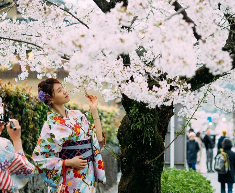 two women taking pictures at the cherry blossom tree in Japan