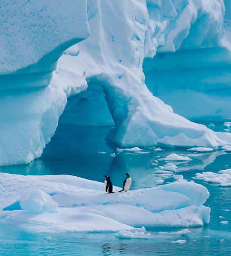 Antarctica Neko Harbour