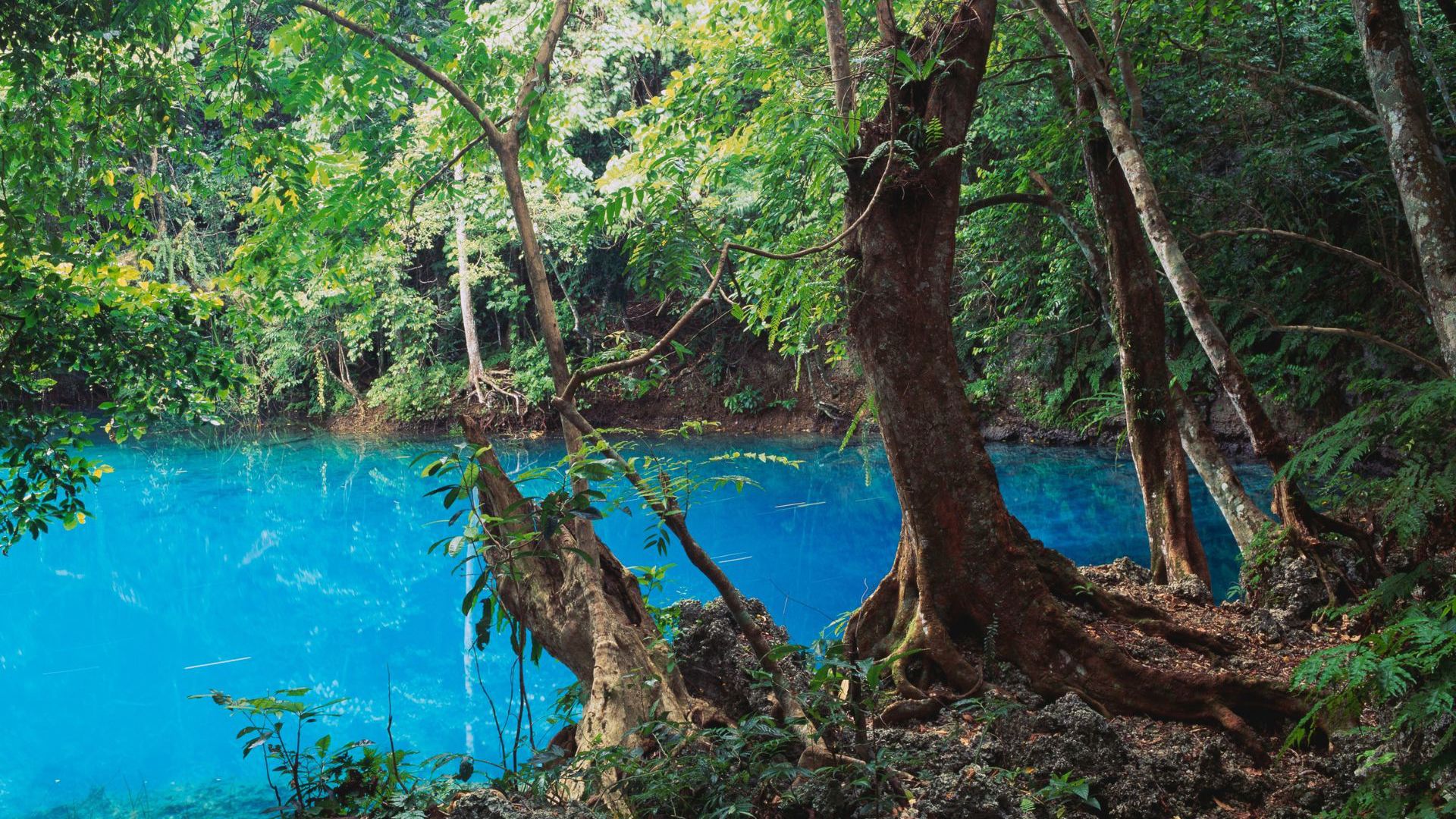 Efate Island water hole in Vanuatu - Image credit: Getty Images