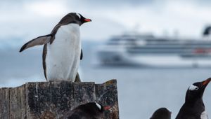 Viking Expedition Ship Antarctica 