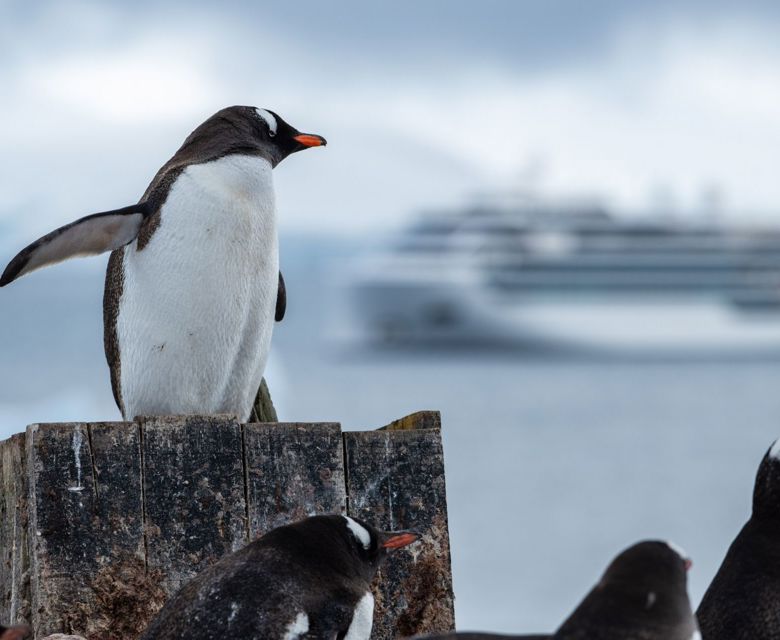 Viking Expedition Ship Antarctica 