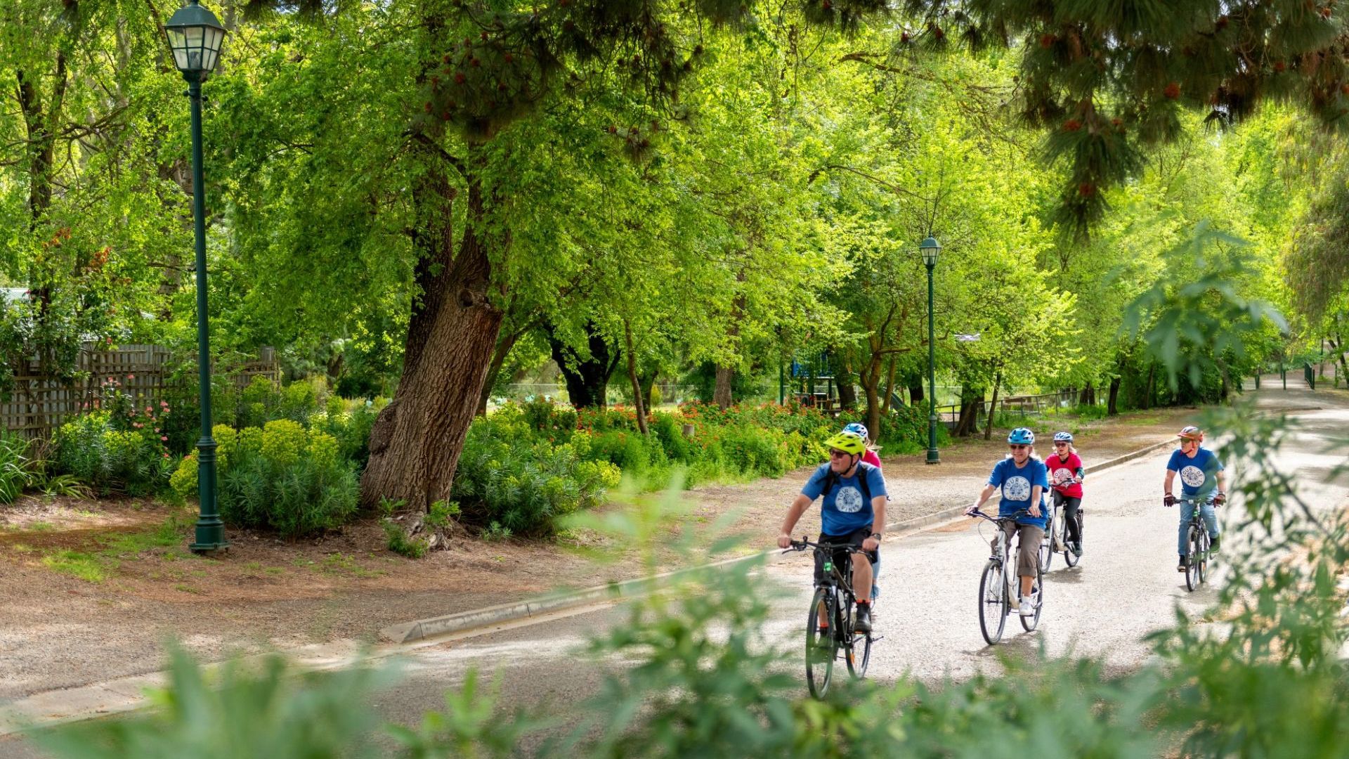 South Australia 8509458 CR Tour De Vines