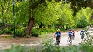 South Australia 8509458 CR Tour De Vines