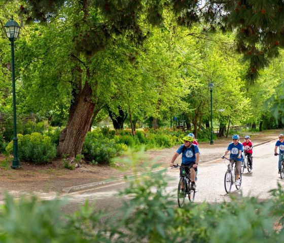 South Australia 8509458 CR Tour De Vines