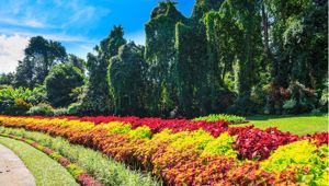 Panoramic Lanka with Total Holiday Options