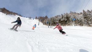 Stay & Ski Naeba - Travel & CO
