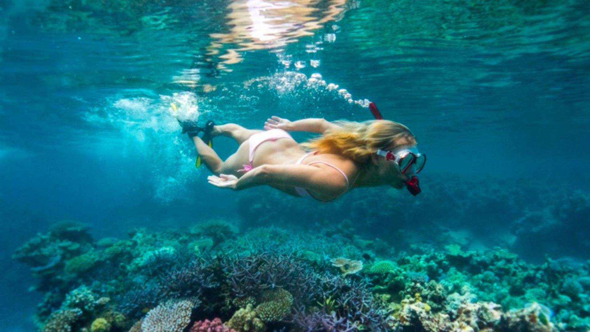 Havannah Snorkelling