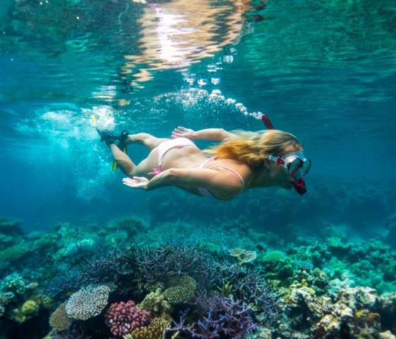 The Havannah Snorkelling