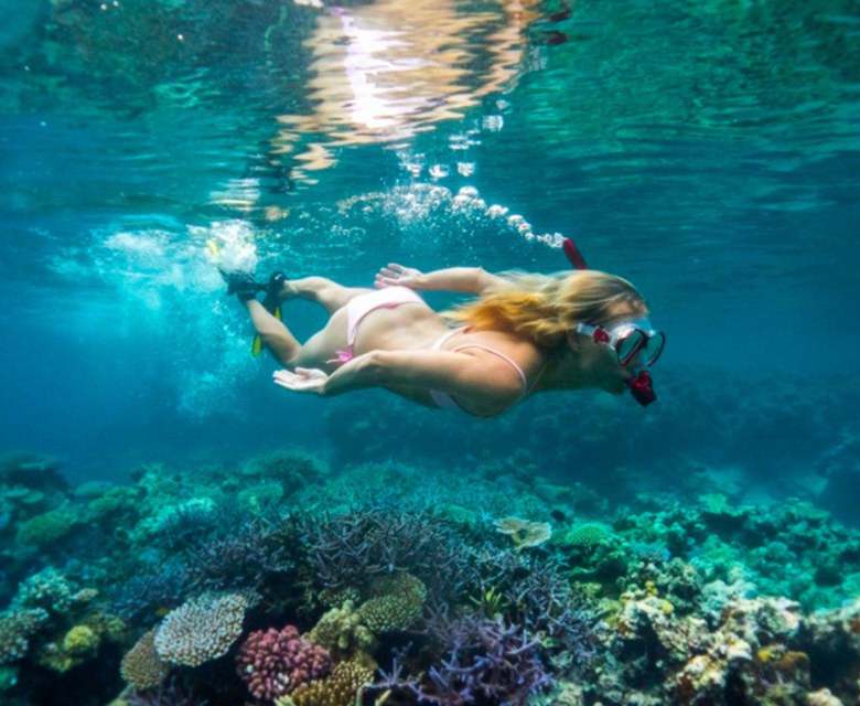 Havannah Snorkelling